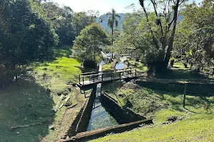 Parque Natural Municipal Nascentes de Paranapiacaba image
