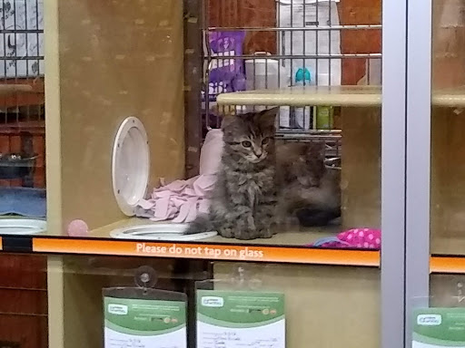 Pet Supply Store «PetSmart», reviews and photos, 3101 Market Center Drive, Morrisville, NC 27560, USA