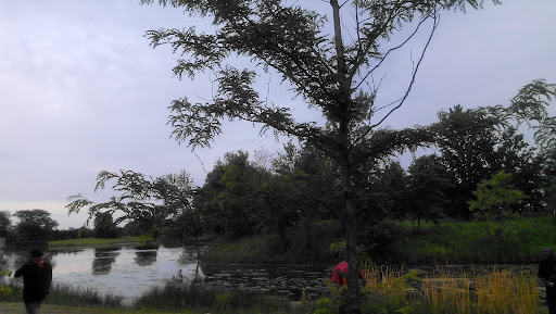 Park «Marquette Park», reviews and photos, 6743 S Kedzie Ave, Chicago, IL 60629, USA