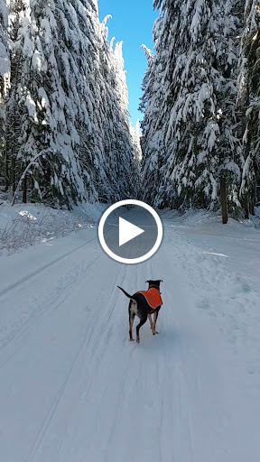 Mortgage Broker «Stonebridge Mortgage Group Inc.», reviews and photos