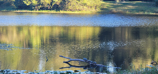 Nature Preserve «Spring Trails Preserve», reviews and photos, Claytons Bend, Spring, TX 77386, USA