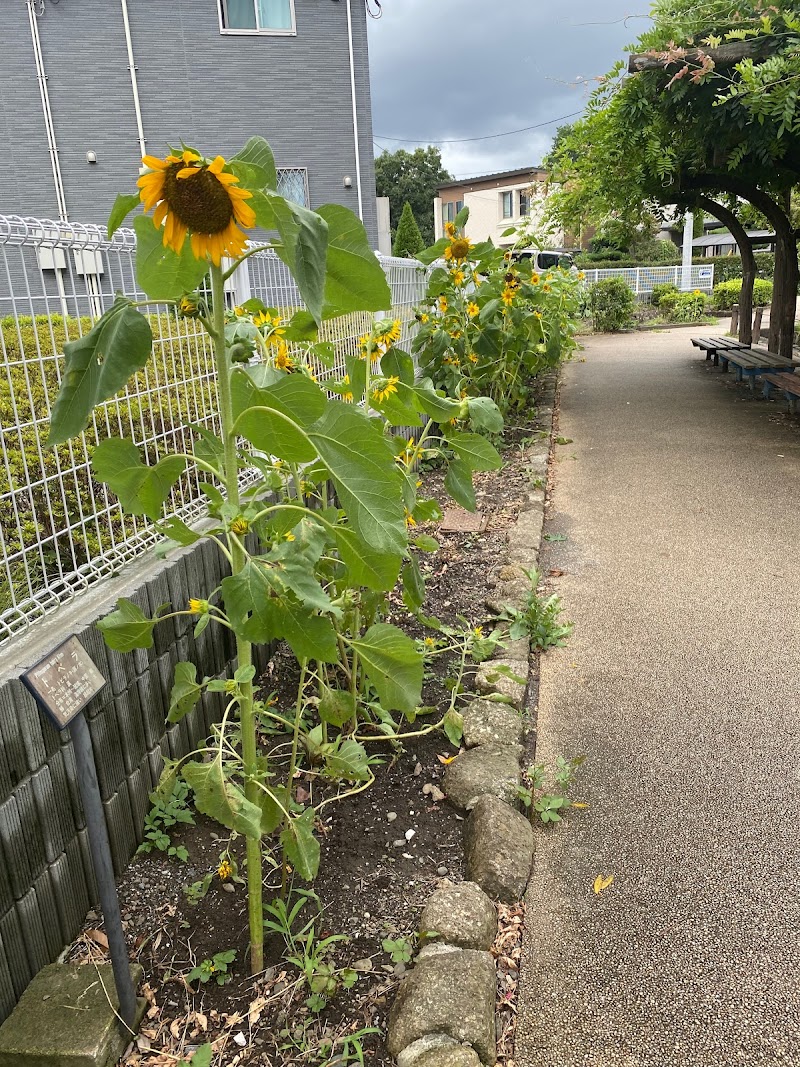 雑田堀緑道