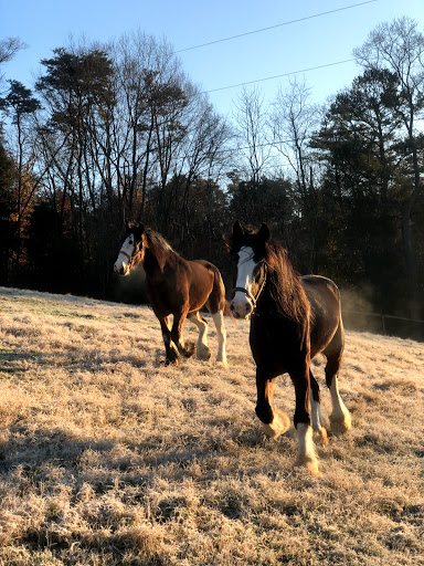 Event Venue «Thomas Farm Weddings and Events», reviews and photos, 519 Tranbarger Rd, Church Hill, TN 37642, USA