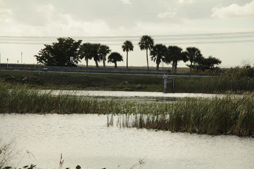 Boat Tour Agency «Sawgrass Recreation Park», reviews and photos, 1006 US-27, Weston, FL 33327, USA