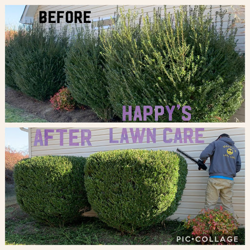 HAPPY'S LAWN CARE & LANDSCAPING Lawn Care Service in MILLS RIVER
