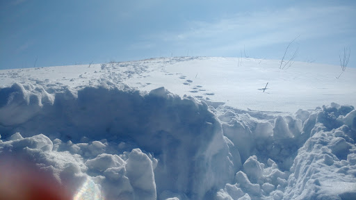 Park «Smith Park», reviews and photos, 8155 Park Ave S, Bloomington, MN 55420, USA