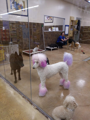 Pet Supply Store «PetSmart», reviews and photos, 1500 E Village Way #2380, Orange, CA 92865, USA