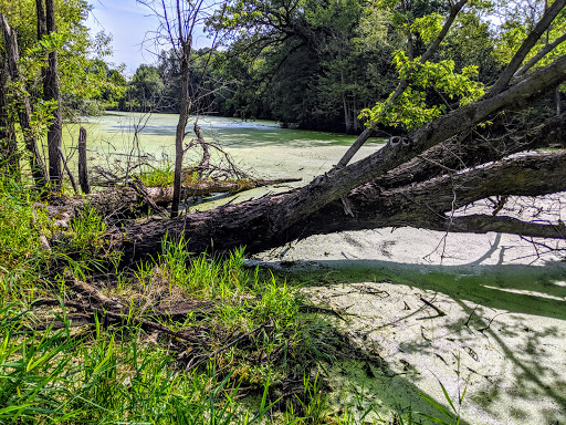 Golf Course «Inver Wood Golf Course», reviews and photos, 1850 70th St E, Inver Grove Heights, MN 55077, USA