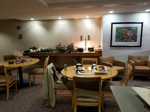 Stadium «Paul Brown Stadium», reviews and photos, 1 Paul Brown Stadium, Cincinnati, OH 45202, USA