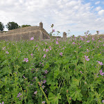 Photo n° 1 de l'avis de Sergio. fait le 27/07/2021 à 19:00 pour Citadelle de Blaye à Blaye