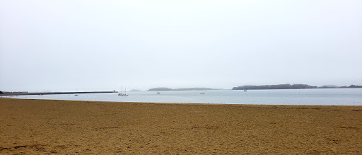 Community Center «Curley Community Center», reviews and photos, 1663 Columbia Rd, Boston, MA 02127, USA