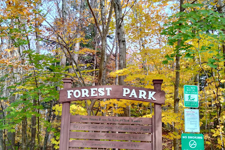 Forest Park