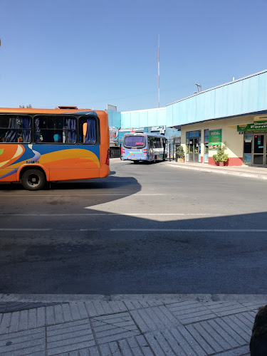 Terminal - Galeria del Centro - Centro comercial