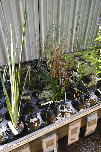 Pet Store «Aquarium», reviews and photos, 6410 Papermill Pl Way, Knoxville, TN 37919, USA