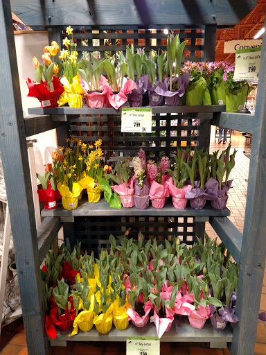 Supermarket «Wegmans», reviews and photos, 5028 W Ridge Rd, Erie, PA 16506, USA