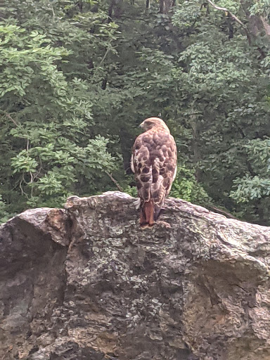 Public Golf Course «Mohansic Golf Course», reviews and photos, 1500 Baldwin Rd, Yorktown Heights, NY 10598, USA