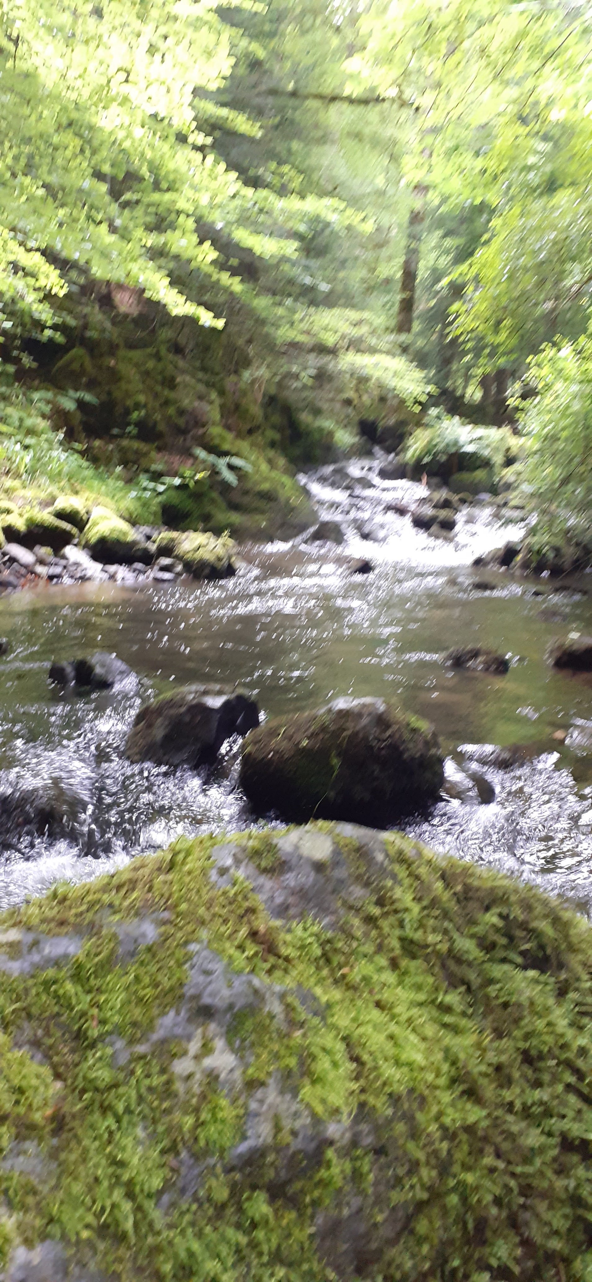 Photo n° 1 de l'avis de k. fait le 13/07/2021 à 17:11