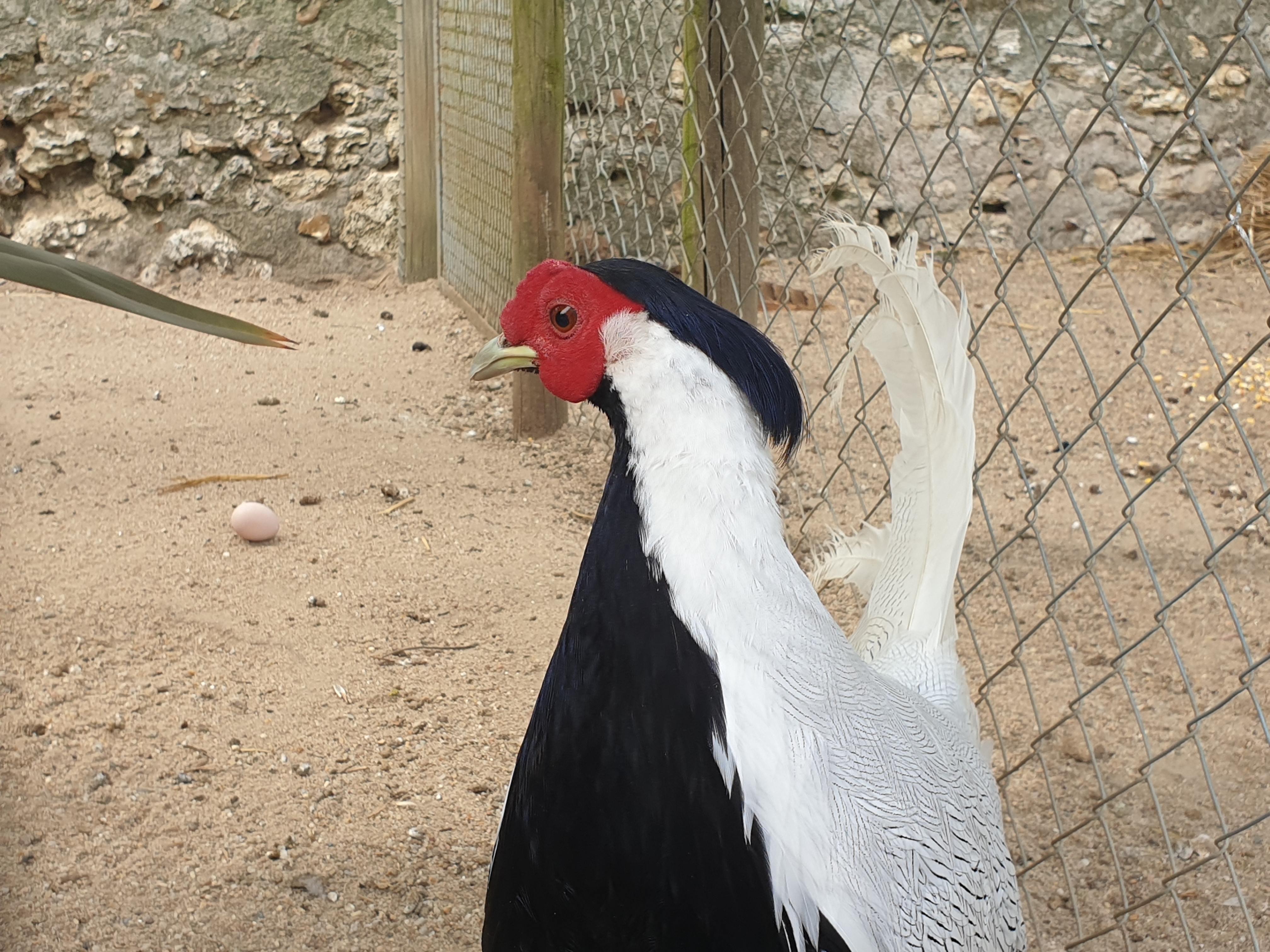 Photo n° 6 de l'avis de Arlindo.o fait le 30/04/2019 à 07:43