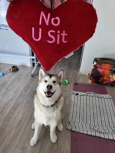 Pet Supply Store «Bad Dog Frida», reviews and photos, 2094 Atwood Ave, Madison, WI 53704, USA