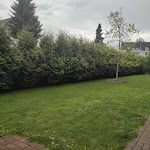 Photo n°7 de l'avis de Juergen.a fait le 13/04/2024 à 09:05 sur le  Gleuel Inn à Hürth