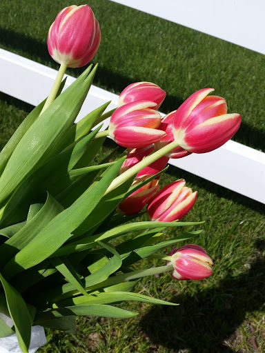 Coffee Shop «RoosRoast Coffee», reviews and photos, 1155 Rosewood St b, Ann Arbor, MI 48104, USA