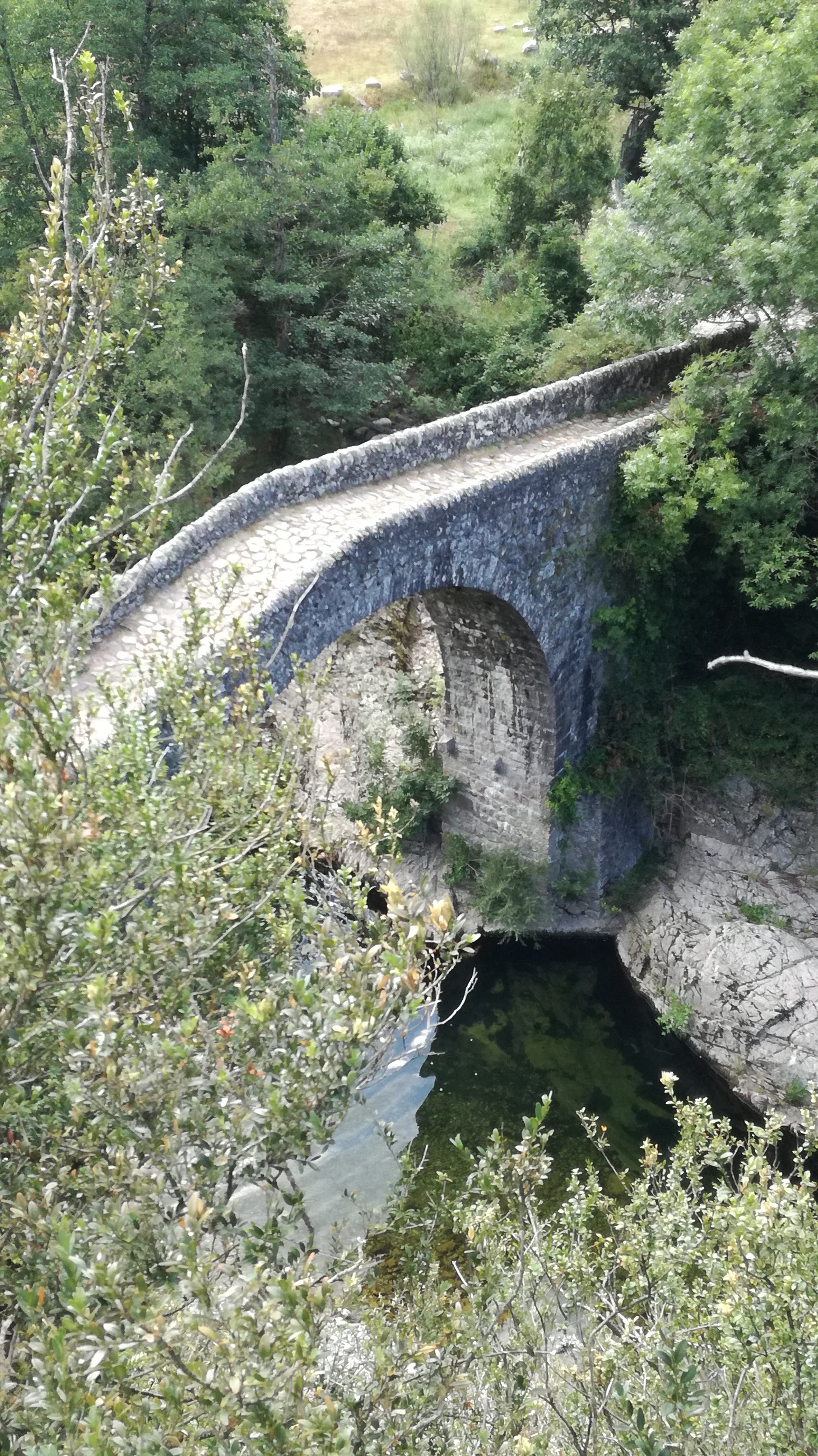 Photo n° 10 de l'avis de Thierry.i fait le 31/07/2018 à 12:45