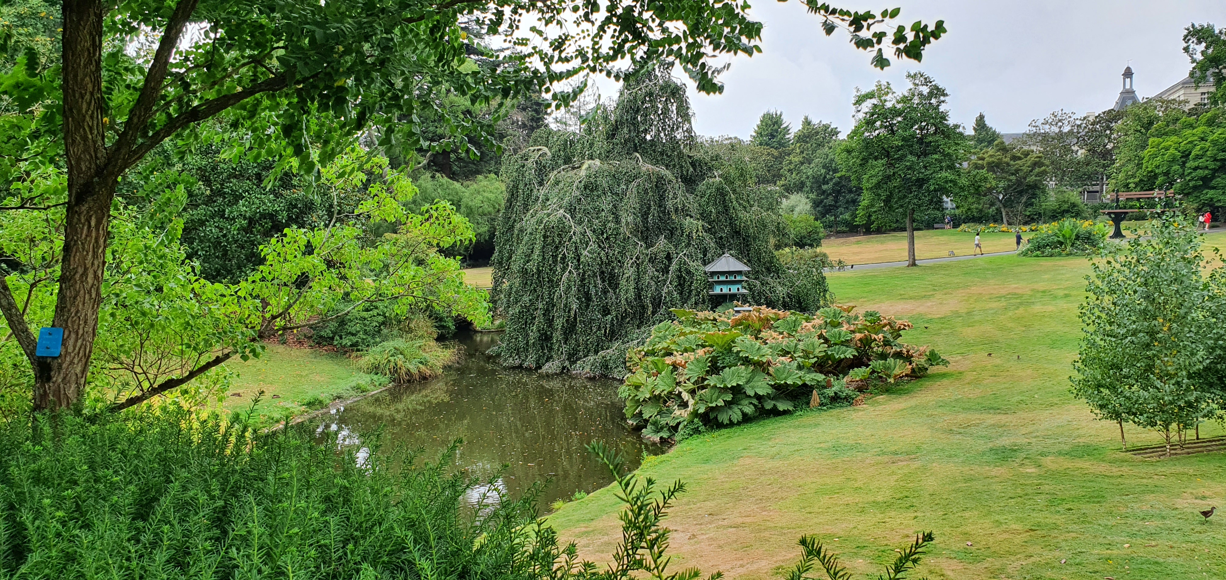 Photo n° 8 de l'avis de Odile.e fait le 14/08/2022 à 15:28