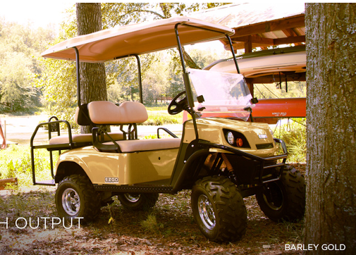 Golf Cart Dealer «Tri-state Golf Carts LLC», reviews and photos, 469 US-206, Branchville, NJ 07827, USA