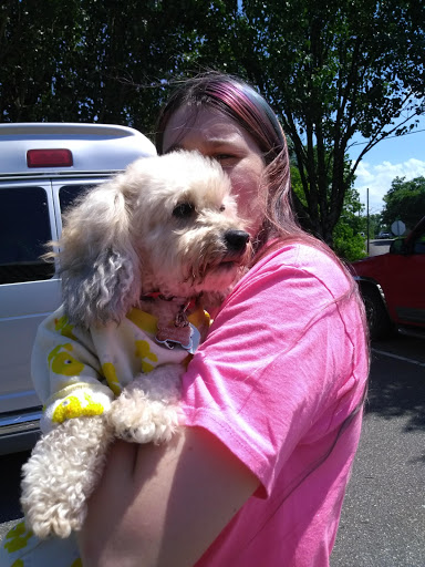 Surry Animal Hospital image