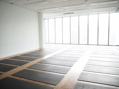 Hom Yoga Orchard - 181 Orchard Rd, #06-12/13, Singapore 238896