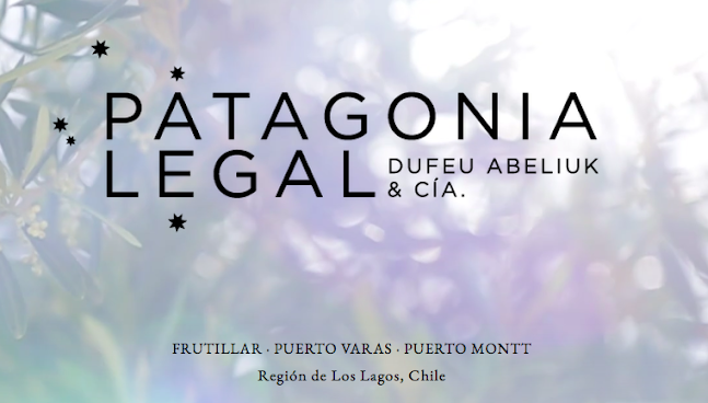 Opiniones de Patagonia Legal en Puerto Varas - Abogado