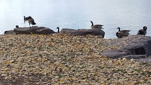 Park «Huston Lake Park», reviews and photos, 850 S Bryant St, Denver, CO 80219, USA