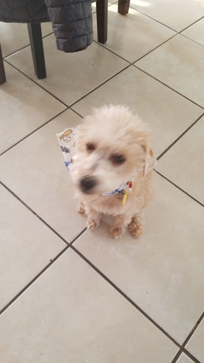 Pet Supply Store «Pet X Supplies & Tack», reviews and photos, 132 W Highland Rd Suite 101, Howell, MI 48843, USA