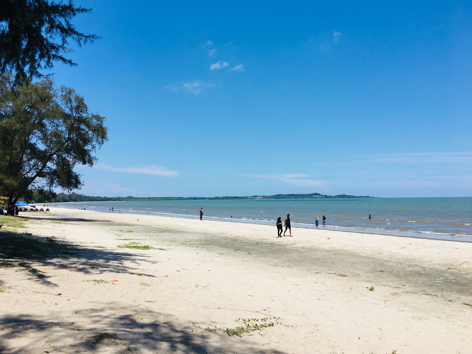 Foto de Jason Bay Beach com areia cinza superfície