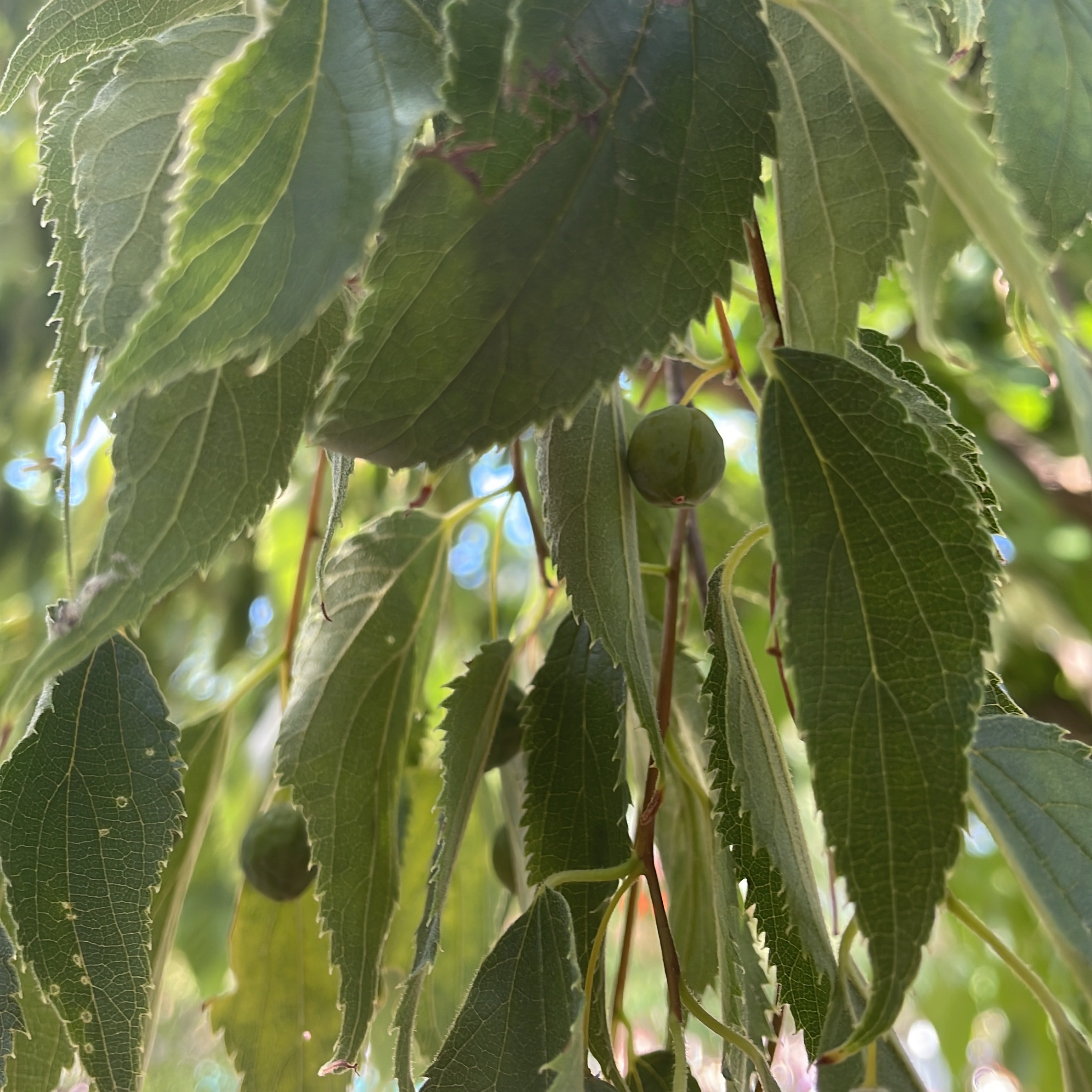 Photo n° 2 de l'avis de Kim. fait le 11/08/2022 à 06:36