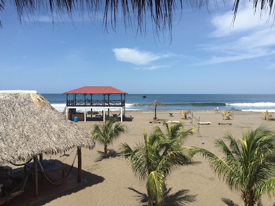 Surfing Turtle beach