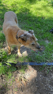 Canton Tails And Bales Daycare and Boarding - Photo 8 - Car repair in Canton, MI, South Lyon