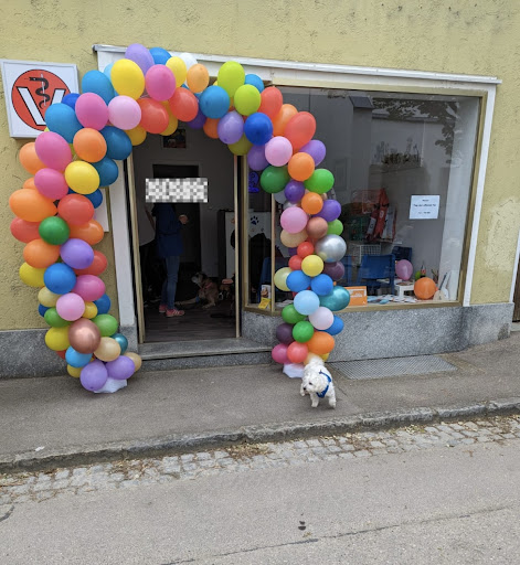 Tierarztpraxis Rain am Lech unter Rain, Bayern