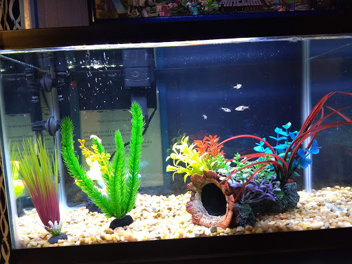 Pet Supply Store «Petco Animal Supplies», reviews and photos, 103 Commerce Way a, Woburn, MA 01801, USA