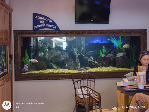 Tropical Fish Store «Aquatic Design», reviews and photos, 1629 N Central Expy, Plano, TX 75075, USA