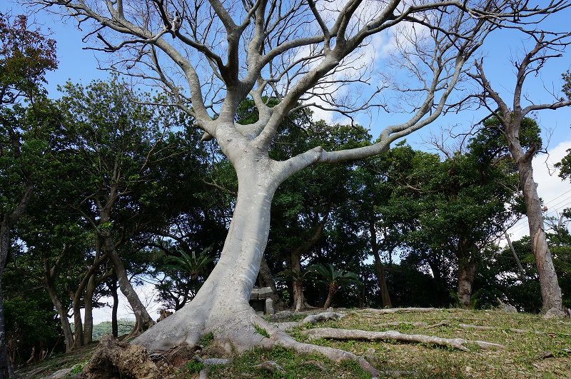 ウフンミ御嶽