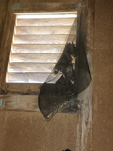 Pest Control Service «Attic Kings», reviews and photos