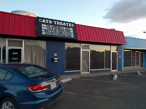 Performing Arts Theater «Children & Adults Theatrical Studio», reviews and photos, 2257 34th St, Lubbock, TX 79411, USA