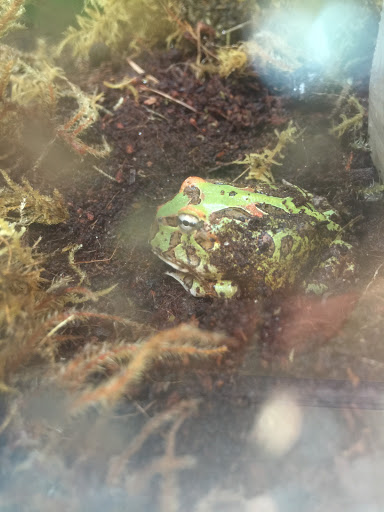 Pet Supply Store «Petco Animal Supplies», reviews and photos, 1320 E Lincoln Way p101, Sparks, NV 89434, USA