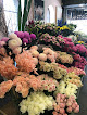 Best Typical Flower Shops In Adelaide Near You