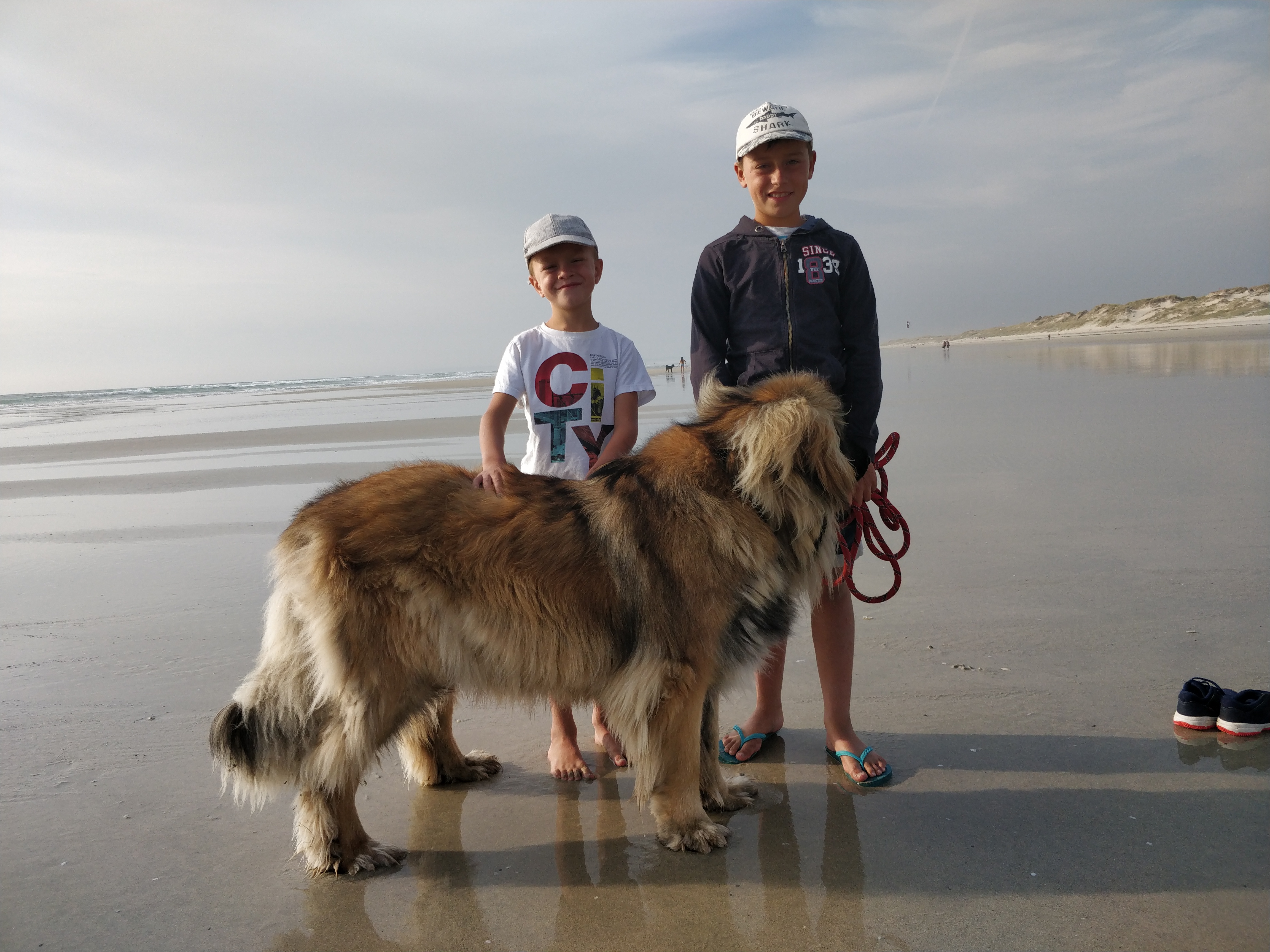 Photo n° 5 de l'avis de daniel.u fait le 16/10/2019 à 15:34