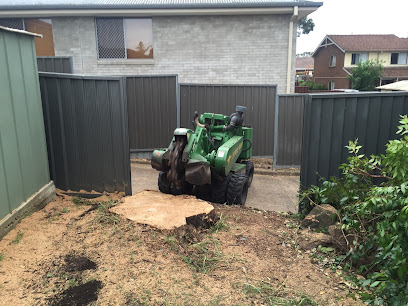 Arbor Grind Tree and Stump Removal