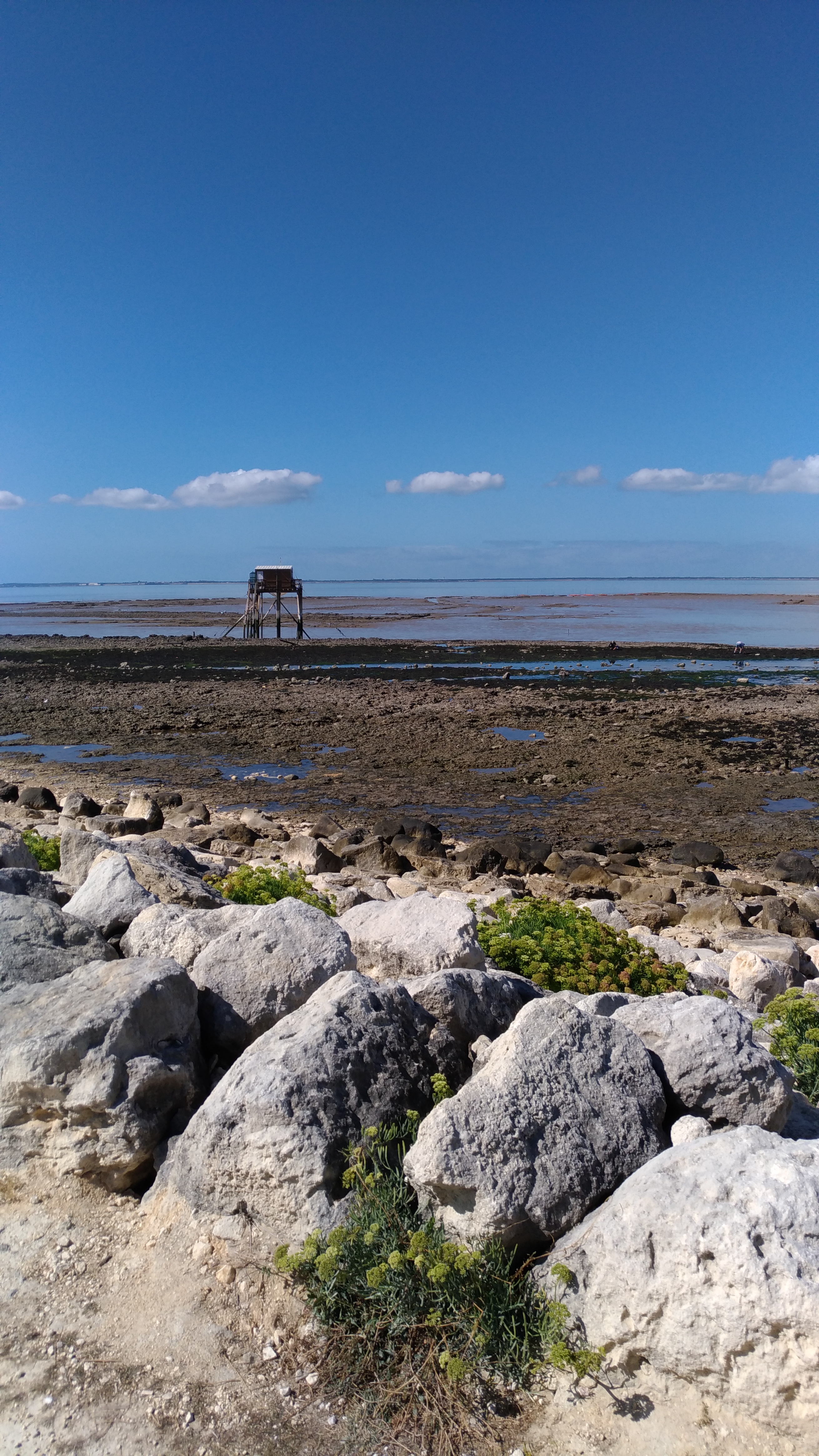 Photo n° 1 de l'avis de gyl.h fait le 21/08/2017 à 12:24