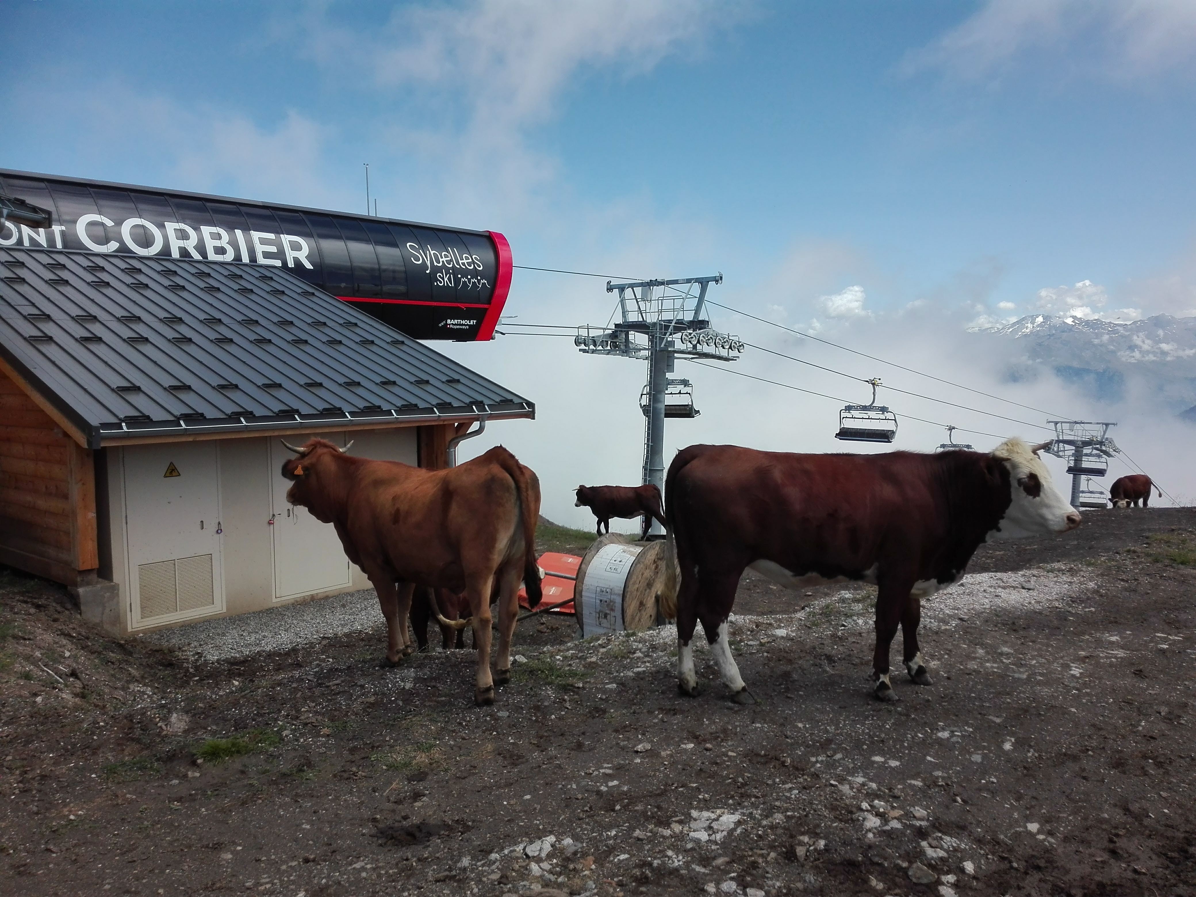 Photo n° 13 de l'avis de KATEL. fait le 30/07/2019 à 19:09