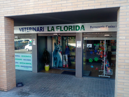 Veterinàrio La Florida